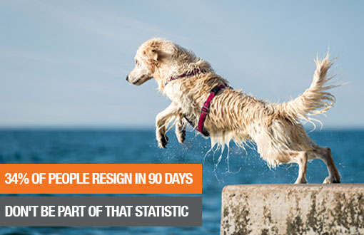 34% of people leave their new job within the first 90 days…. how to not be part of that statistic