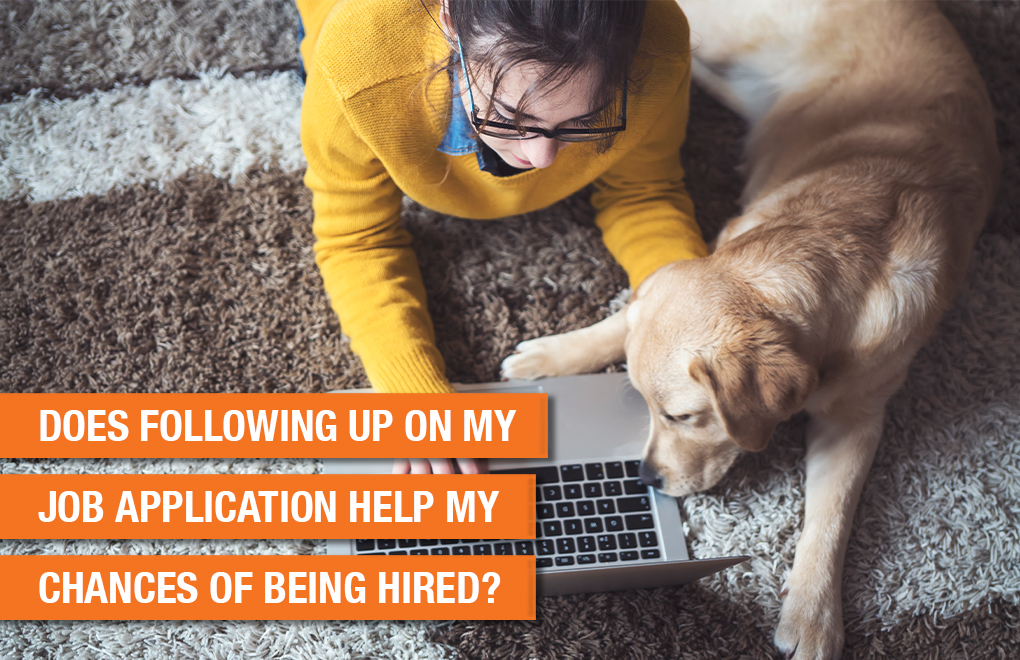 Does following up on my job application help my chances of being hired?