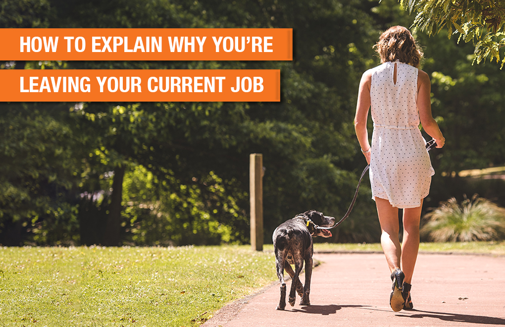 Time to learn some new tricks? How to explain why you’re leaving your current job