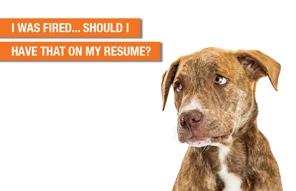 Talent Propeller to Talent Propeller Recruitment Reinvented Recruitment Reinvented